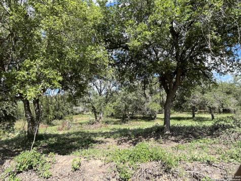 Lot D 497 Cr 124 Floresville TX 78114