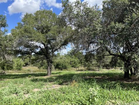 Lot D 497 Cr 124 Floresville TX 78114