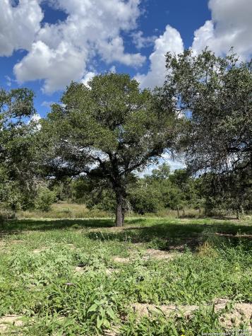 Lot D 497 Cr 124 Floresville TX 78114