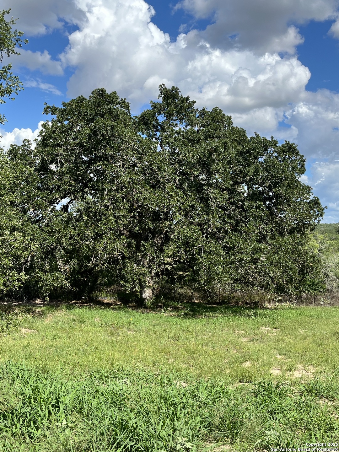 Lot D 497 Cr 124 Floresville TX 78114