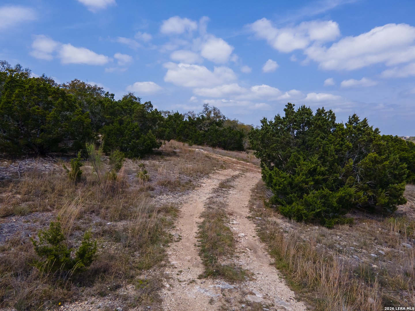 821 Bell Canyon Way Bulverde TX 78163
