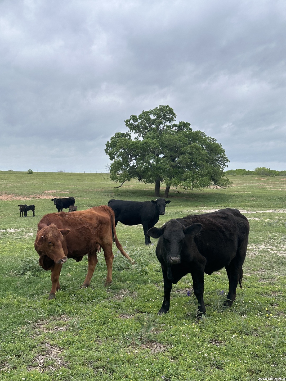 Tbd (TR 2) W Gates Valley Road Poteet TX 78065