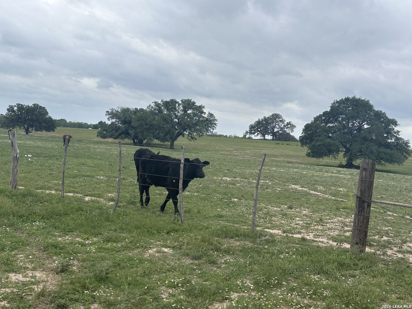 Tbd (TR 2) W Gates Valley Road Poteet TX 78065