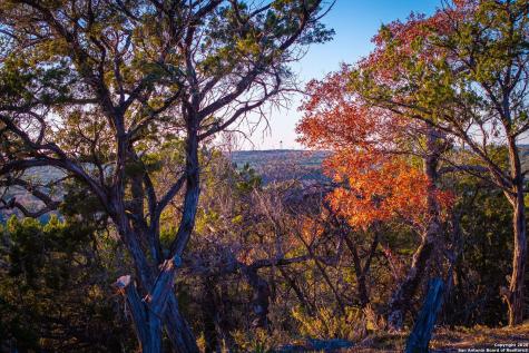 1845 Paradise Parkway Canyon Lake TX 78133