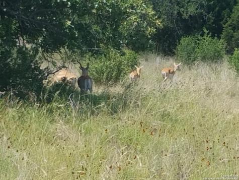 Lot 92 Summit Ridge Trail Johnson City TX 78636