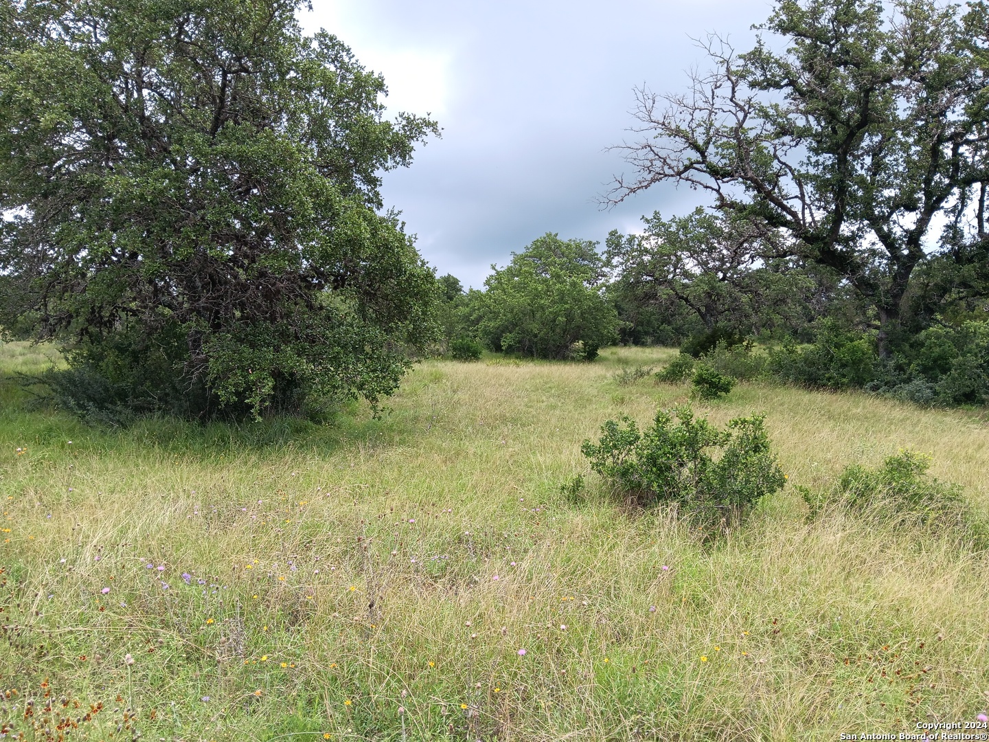 Lot 92 Summit Ridge Trail Johnson City TX 78636