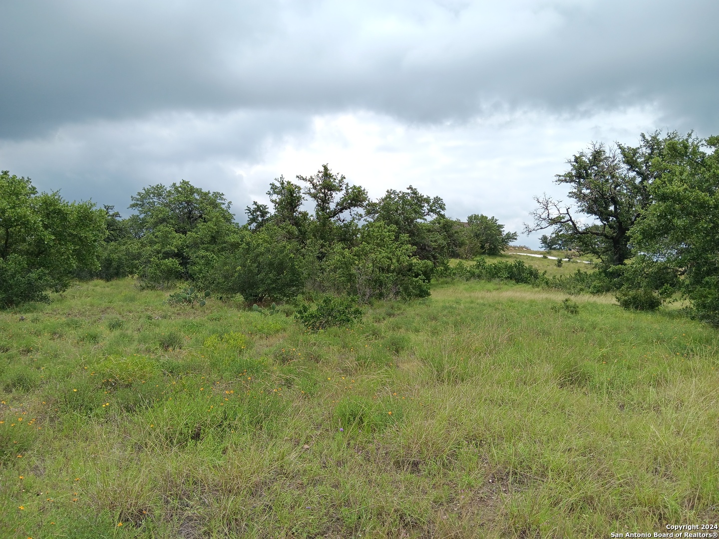 Lot 92 Summit Ridge Trail Johnson City TX 78636