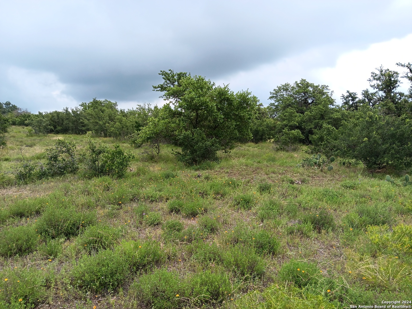 Lot 92 Summit Ridge Trail Johnson City TX 78636