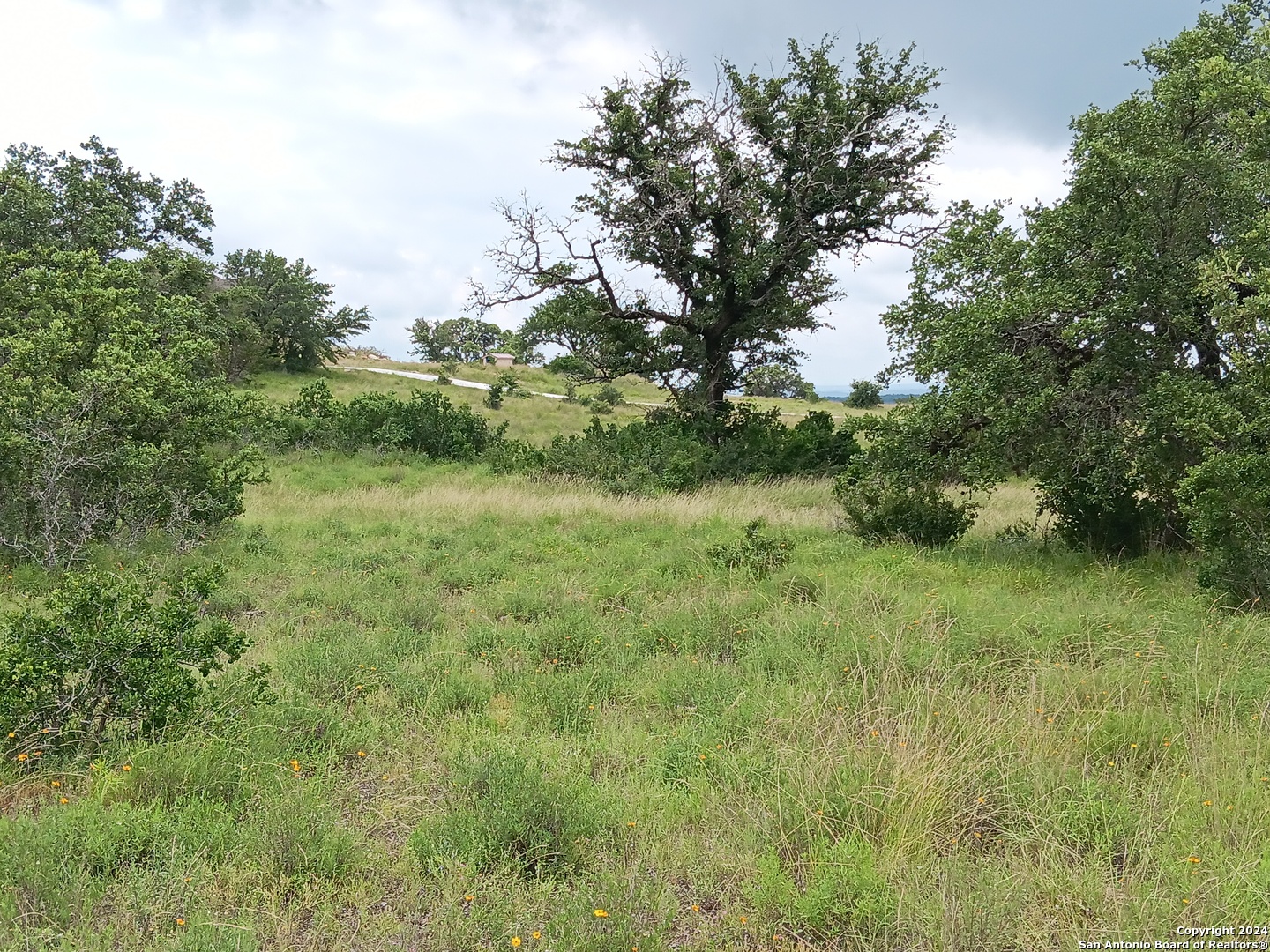 Lot 92 Summit Ridge Trail Johnson City TX 78636