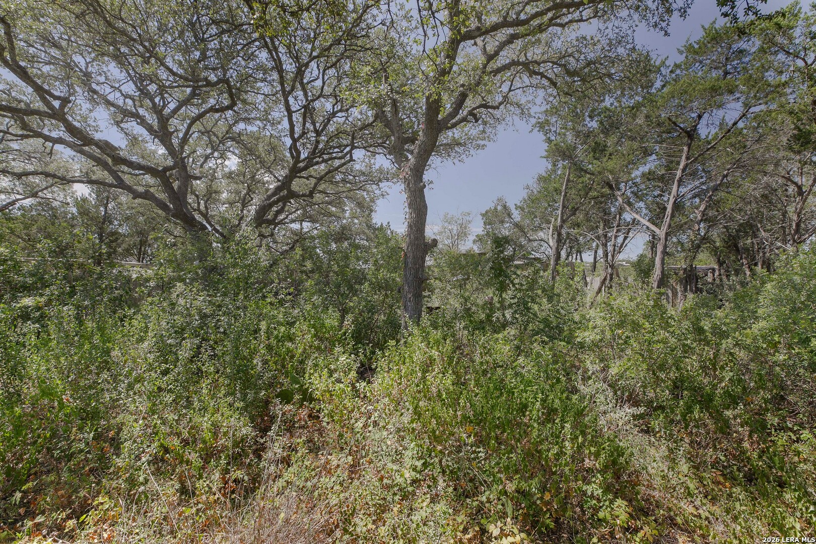Lot 6 Cliff Drive Spring Branch TX 78070