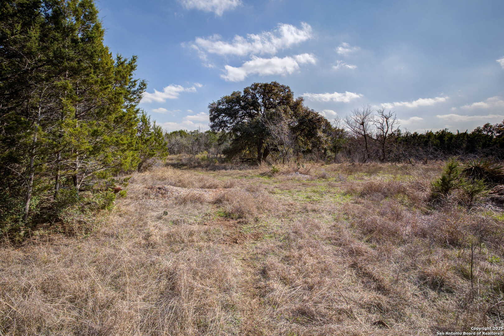 1463 Whispering Woods Trail New Braunfels TX 78132