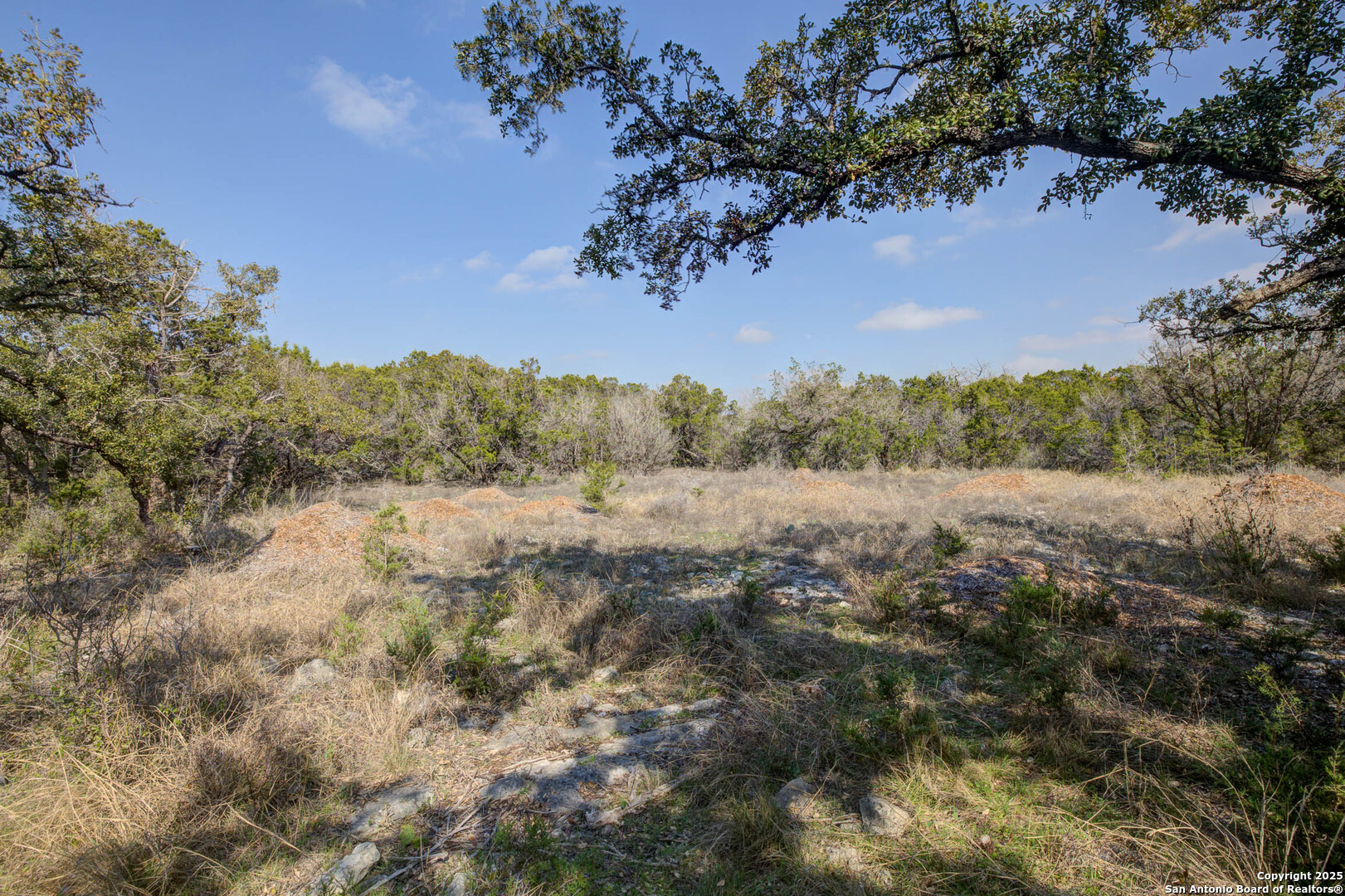 1463 Whispering Woods Trail New Braunfels TX 78132