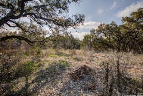 1463 Whispering Woods Trail New Braunfels TX 78132