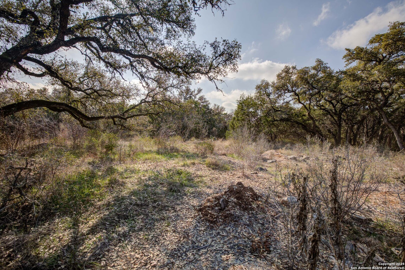 1463 Whispering Woods Trail New Braunfels TX 78132