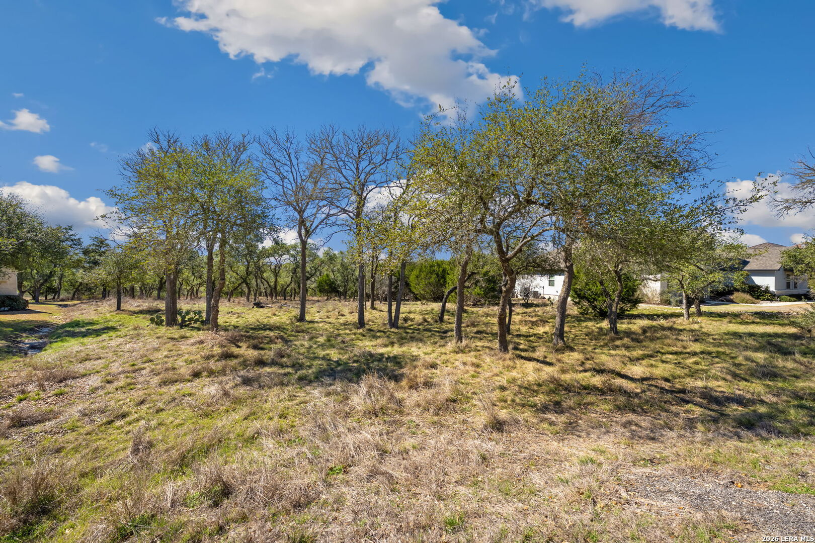 913 Cross Oak New Braunfels TX 78132