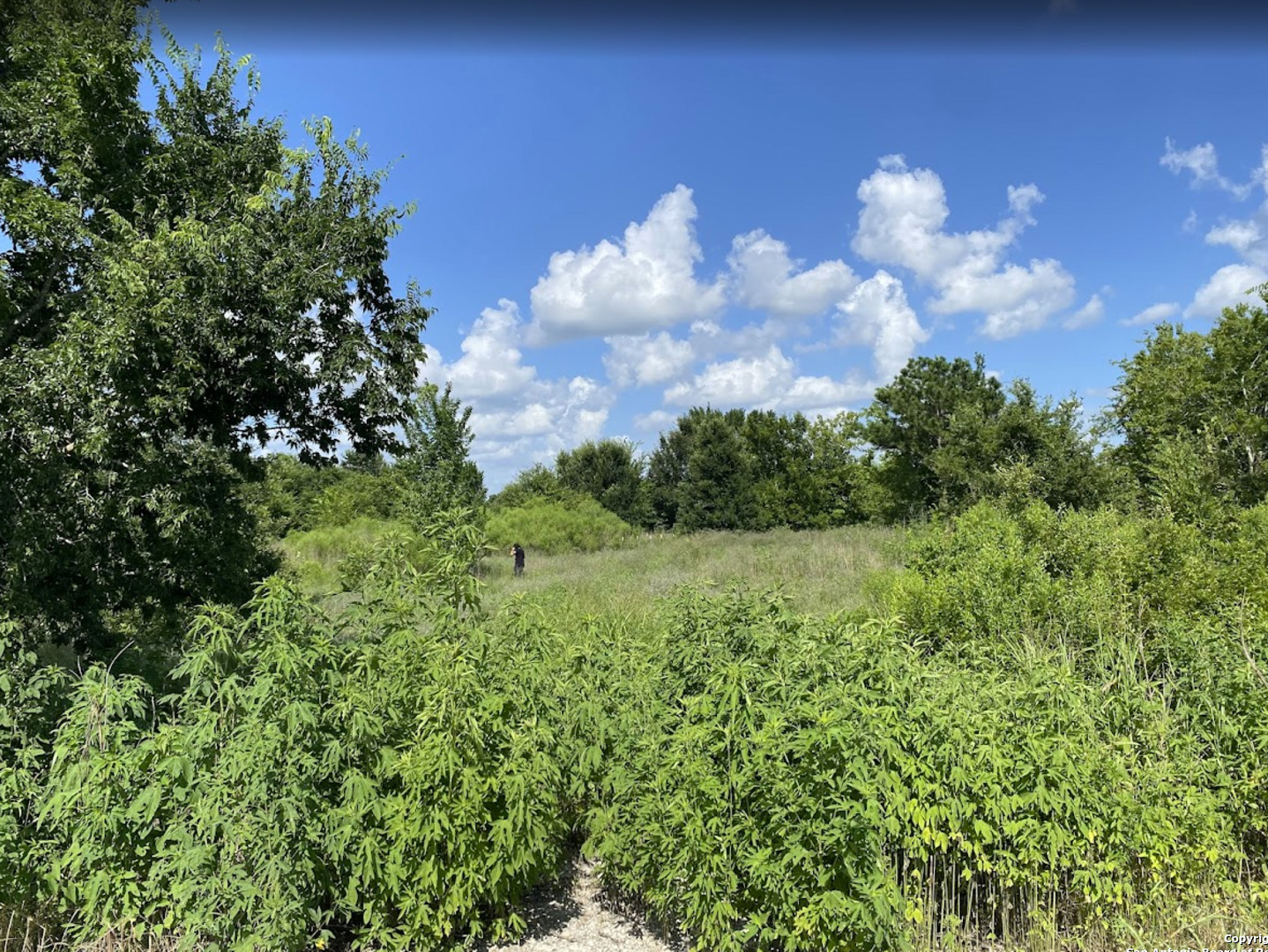 7931 Fm 1952 Wallis TX 77485