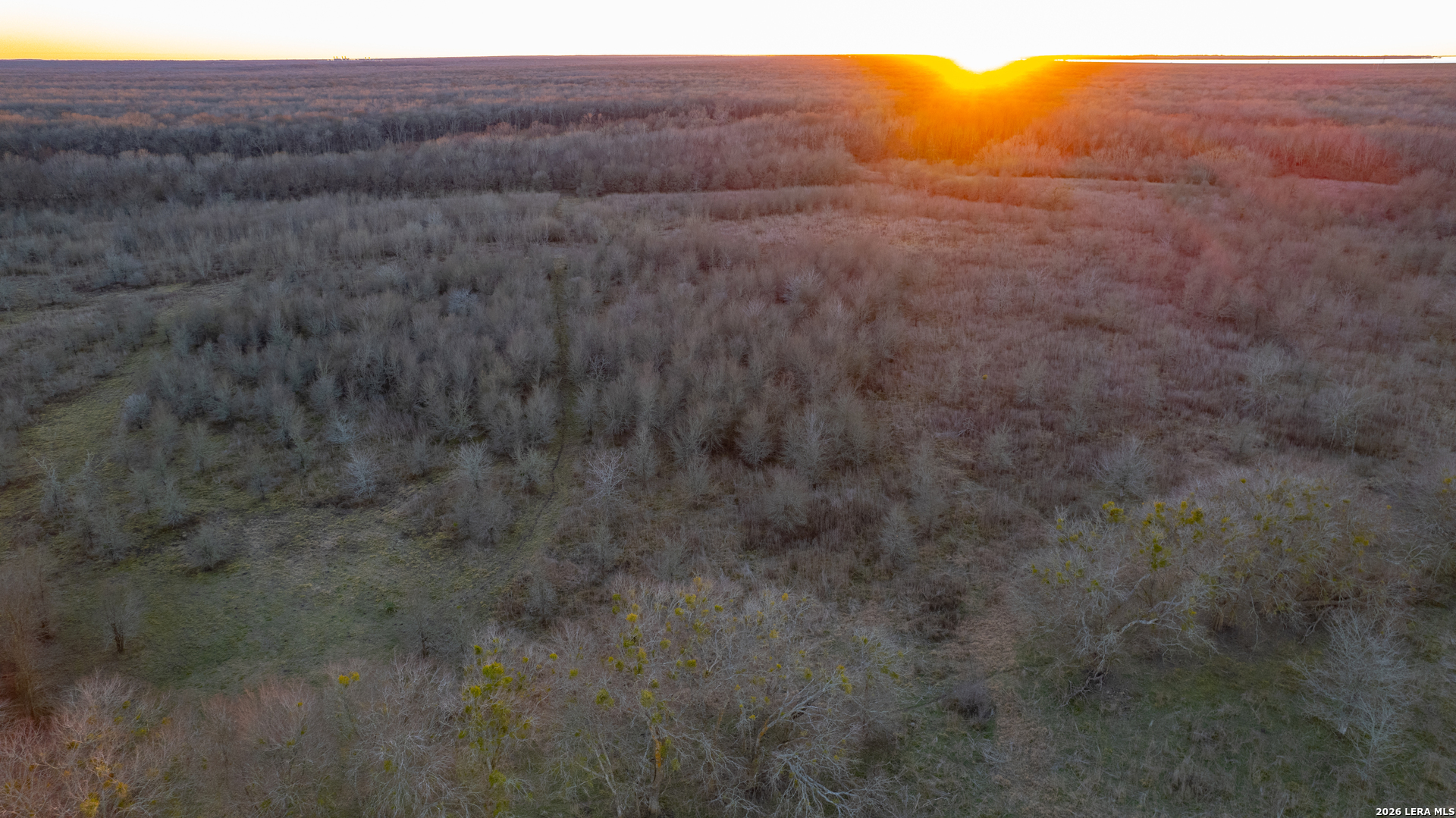 25119 Private Road 8496 Athens TX 75751