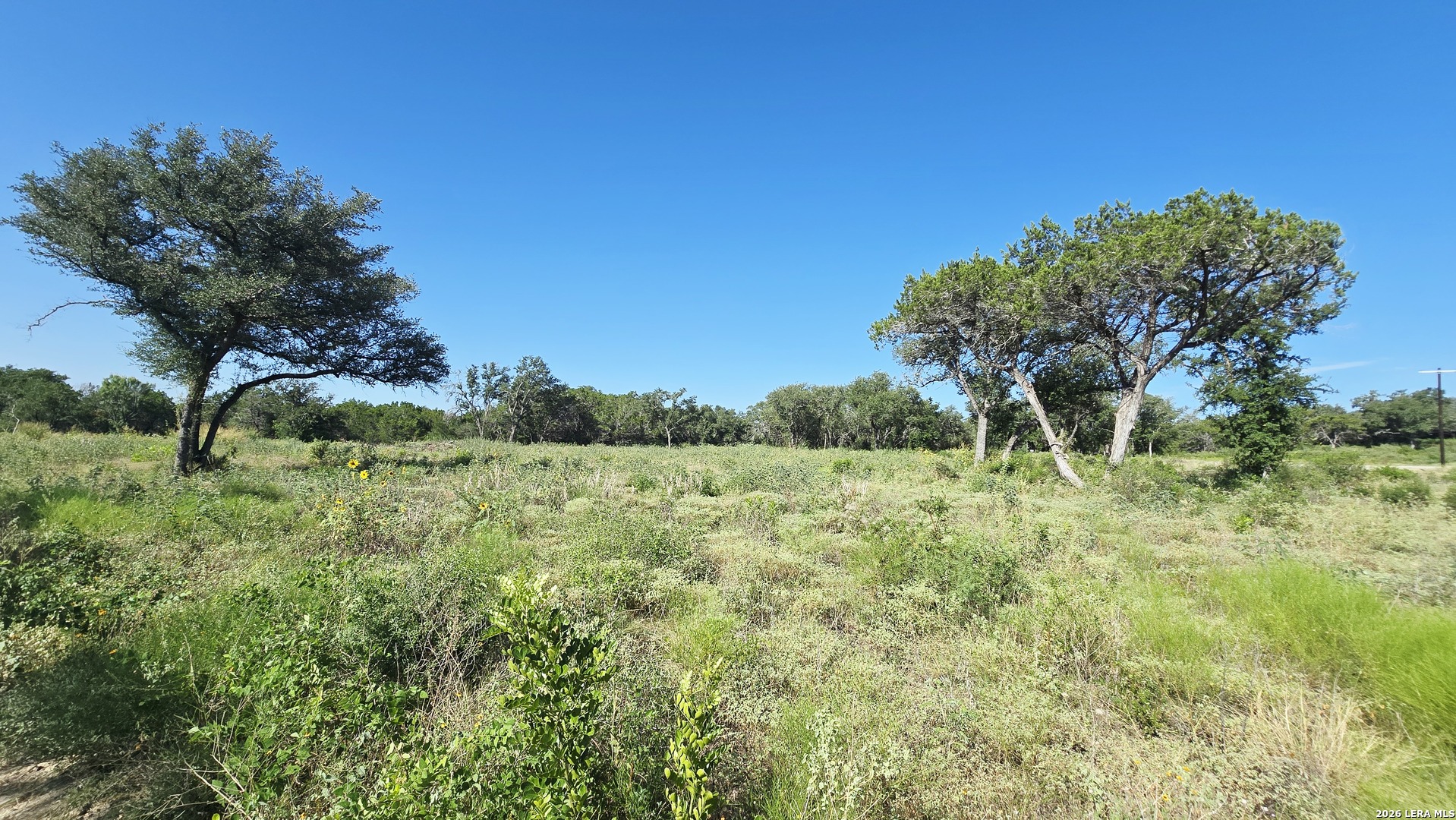 Lot 104 Grand Oaks Hondo TX 78861