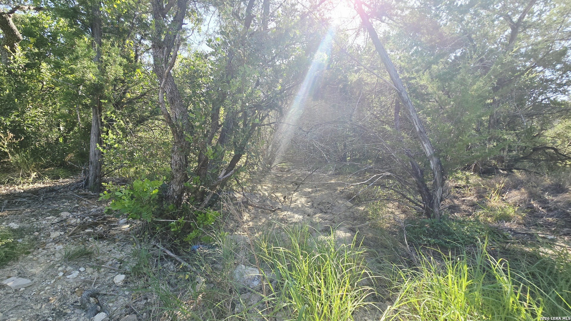 Lot 104 Grand Oaks Hondo TX 78861