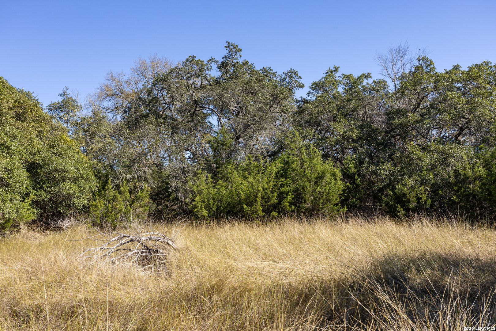 Block 3, Lot 6 Easy Money Boerne TX 78006
