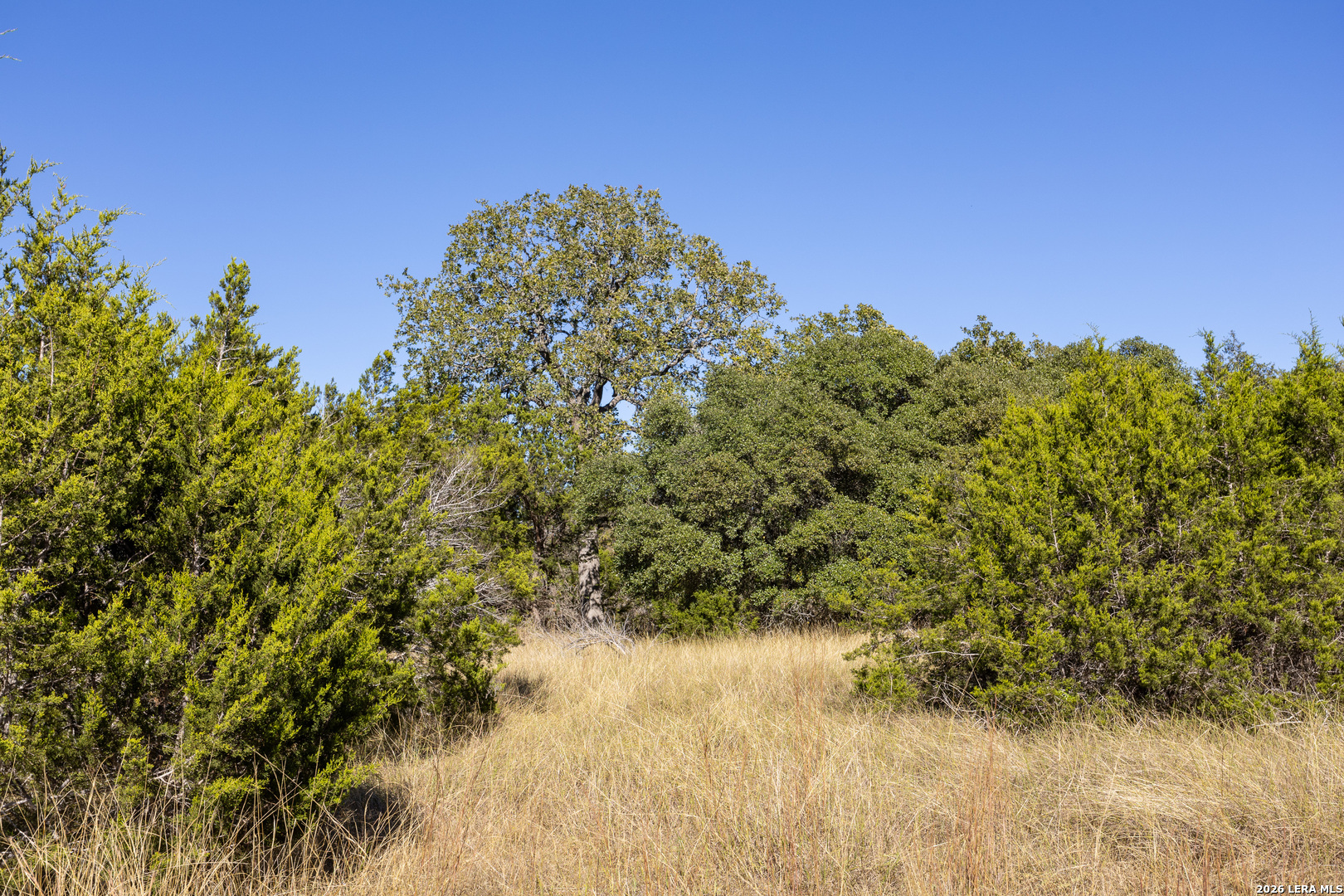 Block 3, Lot 6 Easy Money Boerne TX 78006