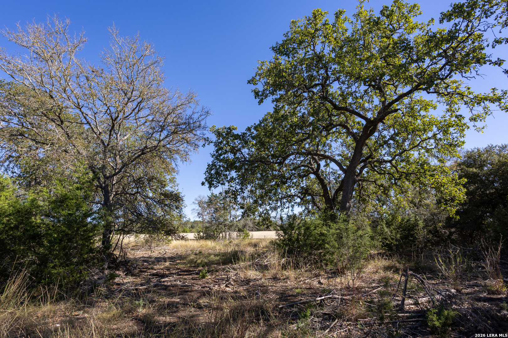 Block 3, Lot 6 Easy Money Boerne TX 78006