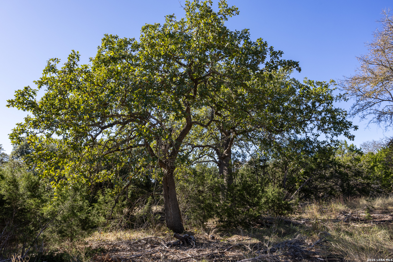 Block 3, Lot 6 Easy Money Boerne TX 78006