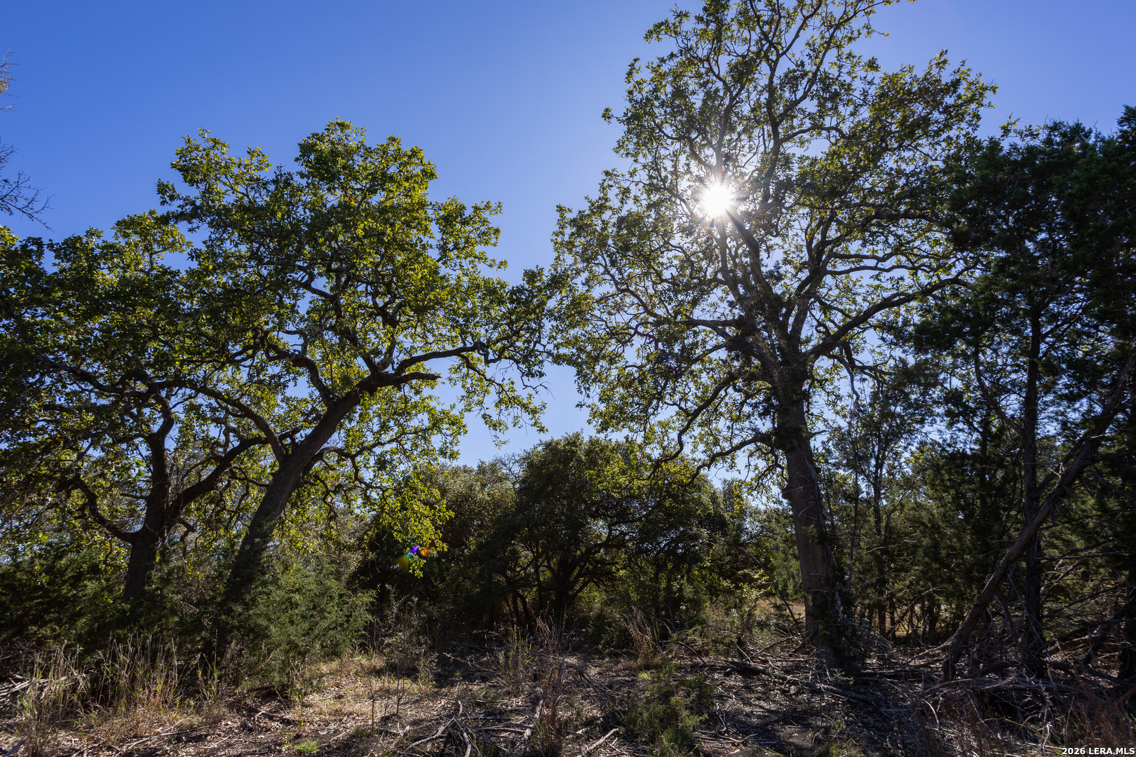 Block 3, Lot 6 Easy Money Boerne TX 78006