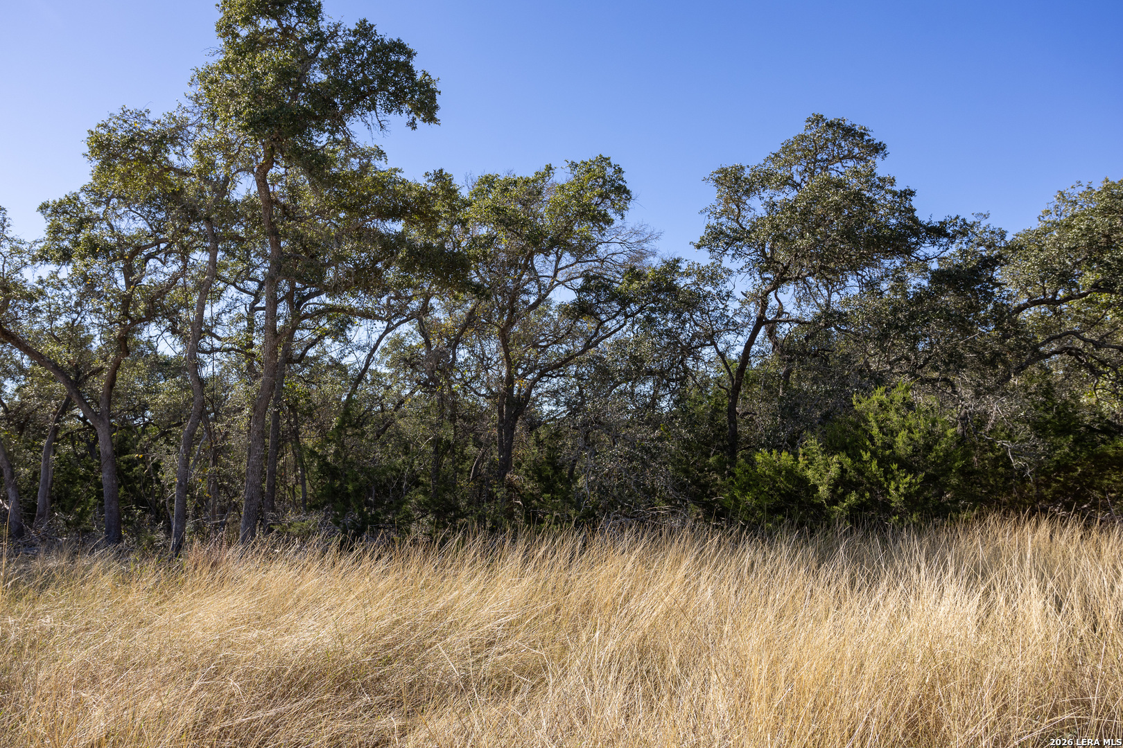 Block 3, Lot 6 Easy Money Boerne TX 78006
