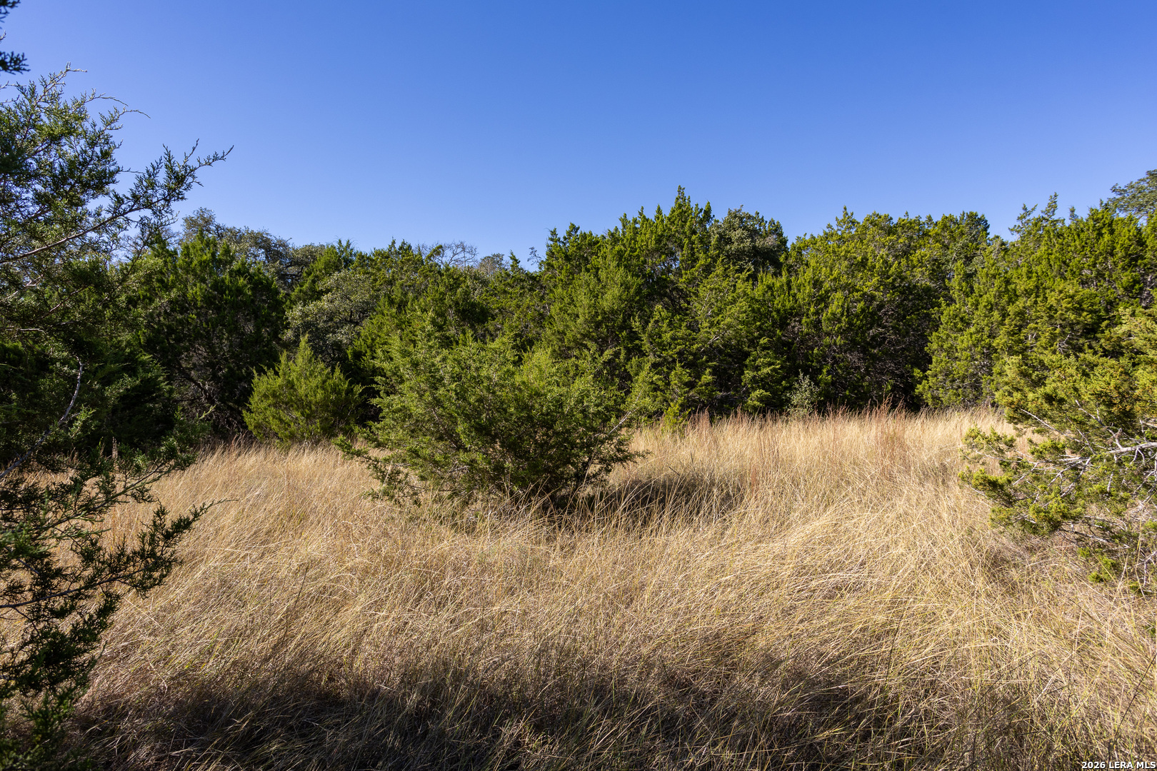 Block 3, Lot 6 Easy Money Boerne TX 78006