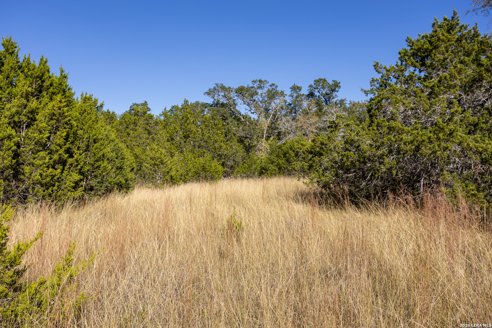 Block 3, Lot 6 Easy Money Boerne TX 78006