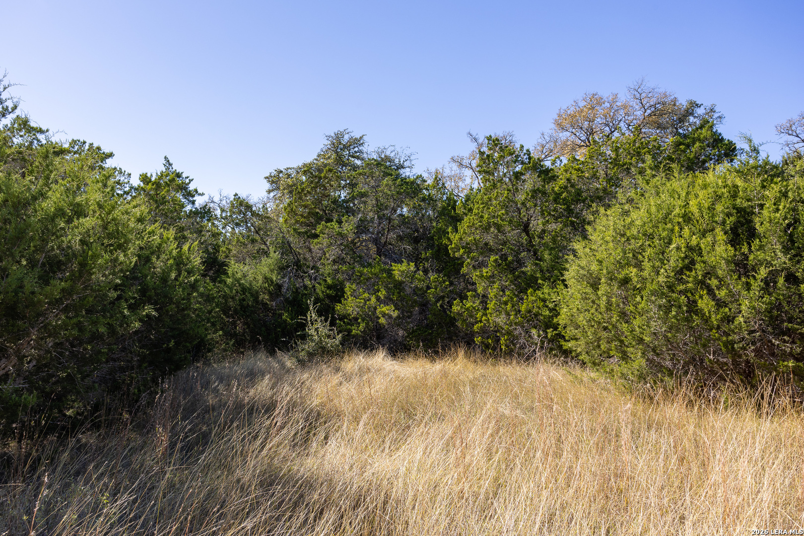 Block 3, Lot 6 Easy Money Boerne TX 78006