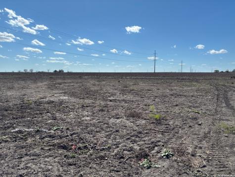 203 Farmhouse Marion TX 78124
