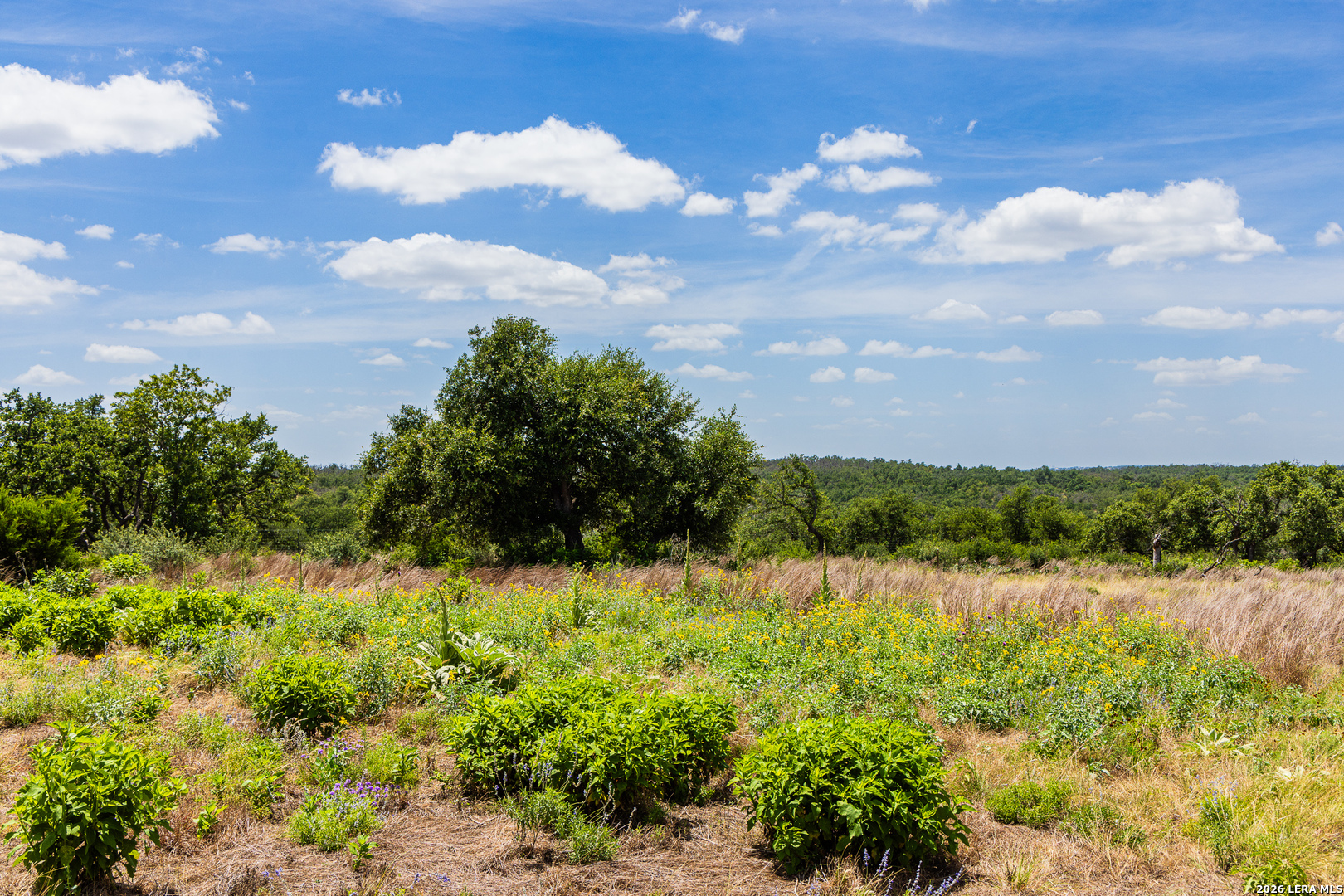 Lot 37 Boot Ranch Circle Fredericksburg TX 78624