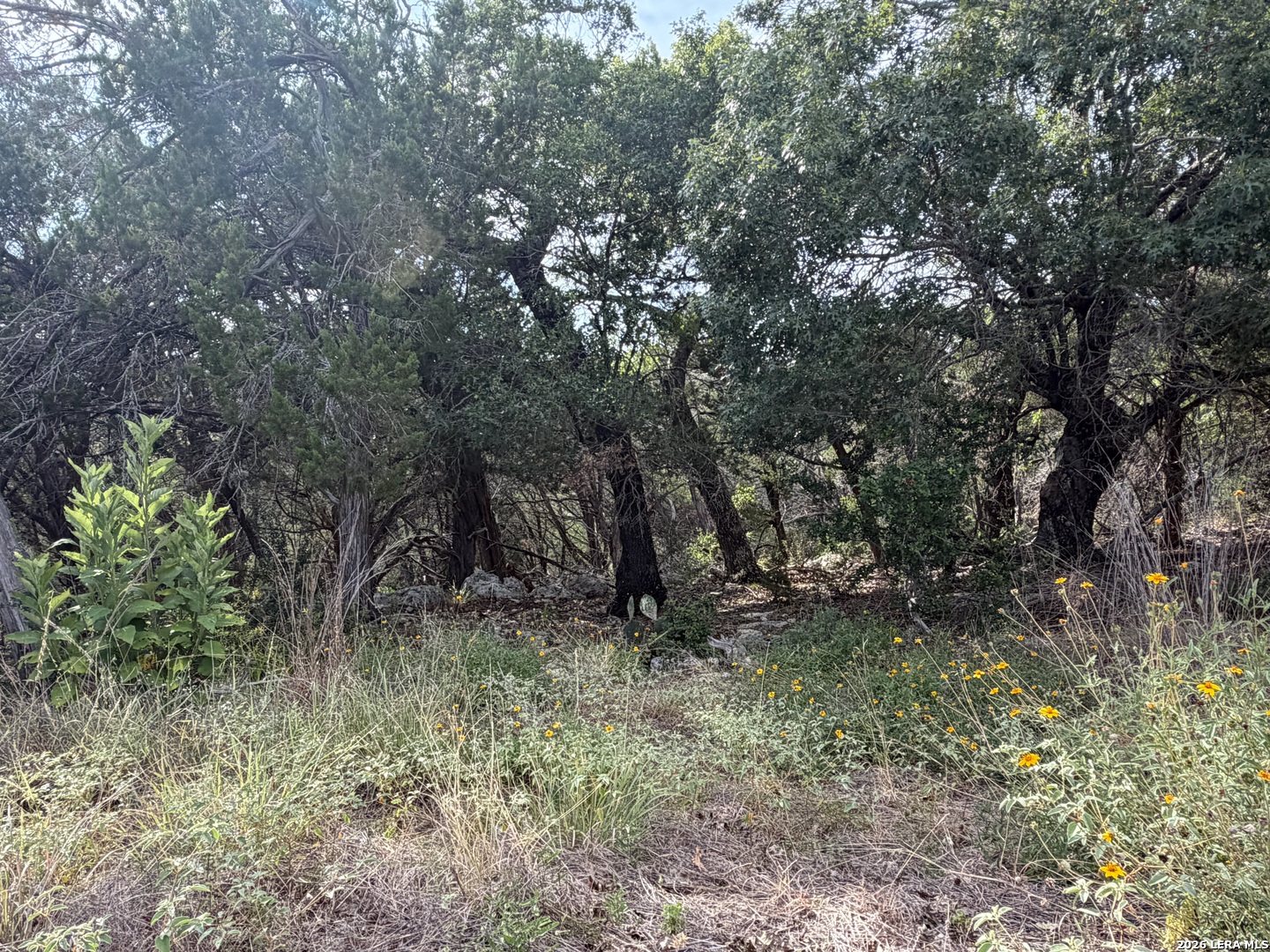 233 Enigma Spring Branch TX 78070