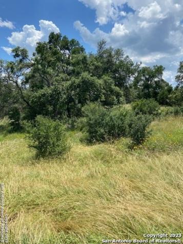 2122 Angeles Canyon Lake TX 78133