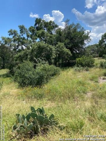 2122 Angeles Canyon Lake TX 78133