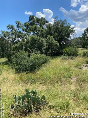 2122 Angeles Canyon Lake TX 78133