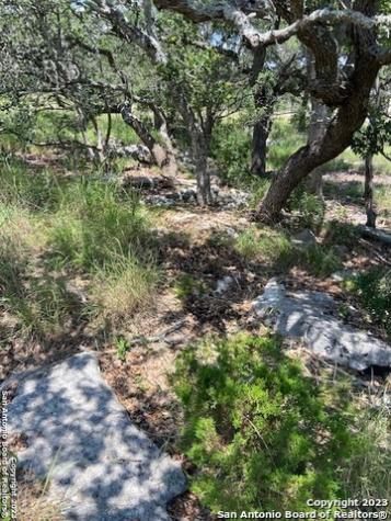 2122 Angeles Canyon Lake TX 78133
