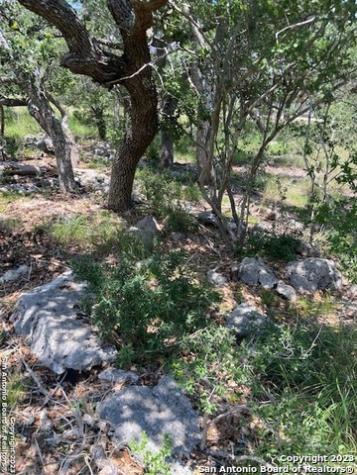 2122 Angeles Canyon Lake TX 78133