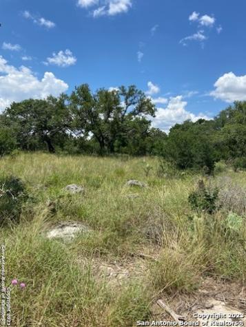 2122 Angeles Canyon Lake TX 78133