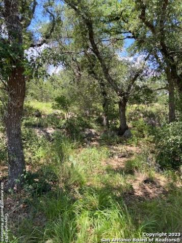 2122 Angeles Canyon Lake TX 78133