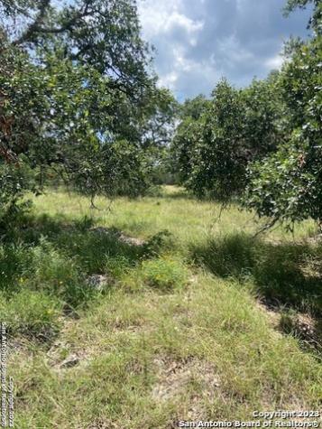 2122 Angeles Canyon Lake TX 78133