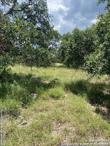 2122 Angeles Canyon Lake TX 78133