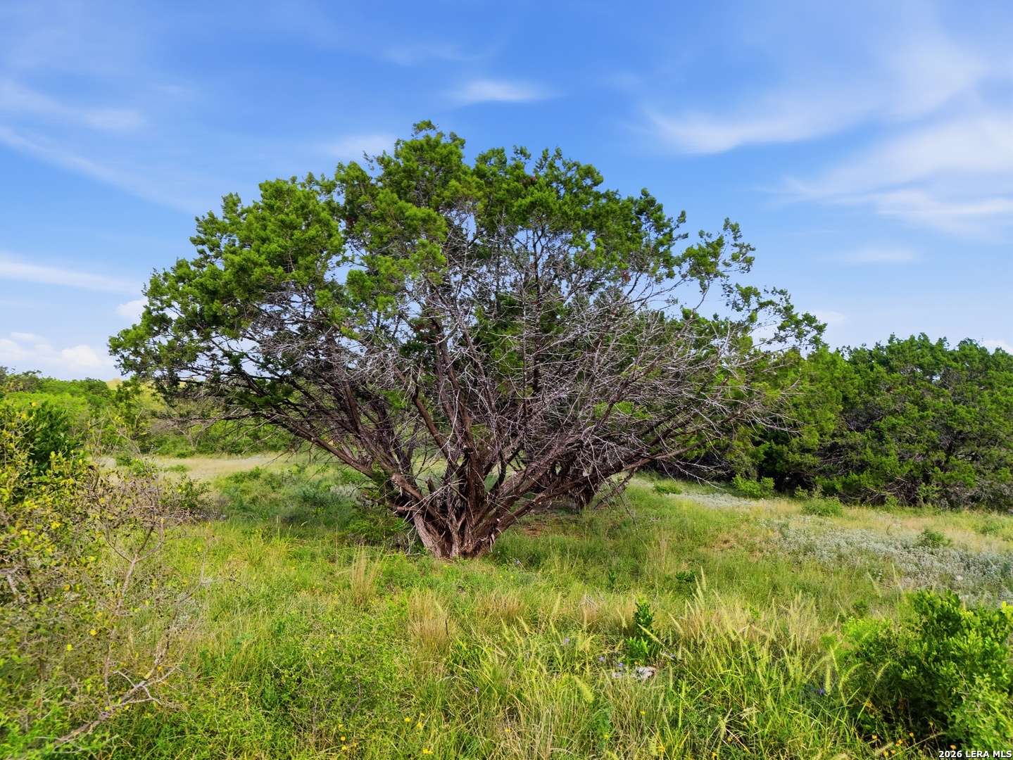 33360 S Highway 55 Uvalde TX 78801