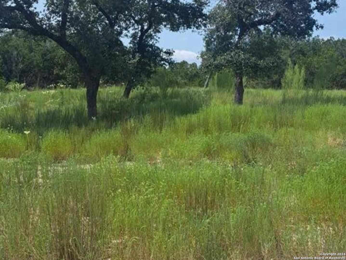 1064 Ken Wayne Spring Branch TX 78070