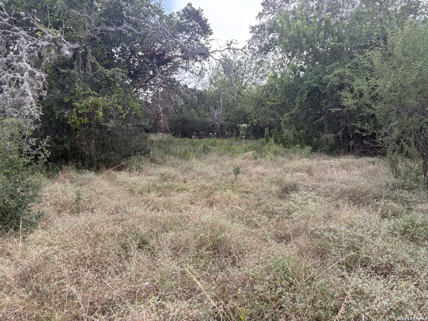 Lot 4 San Julian Estates-hwy 173 S Bandera TX 78003