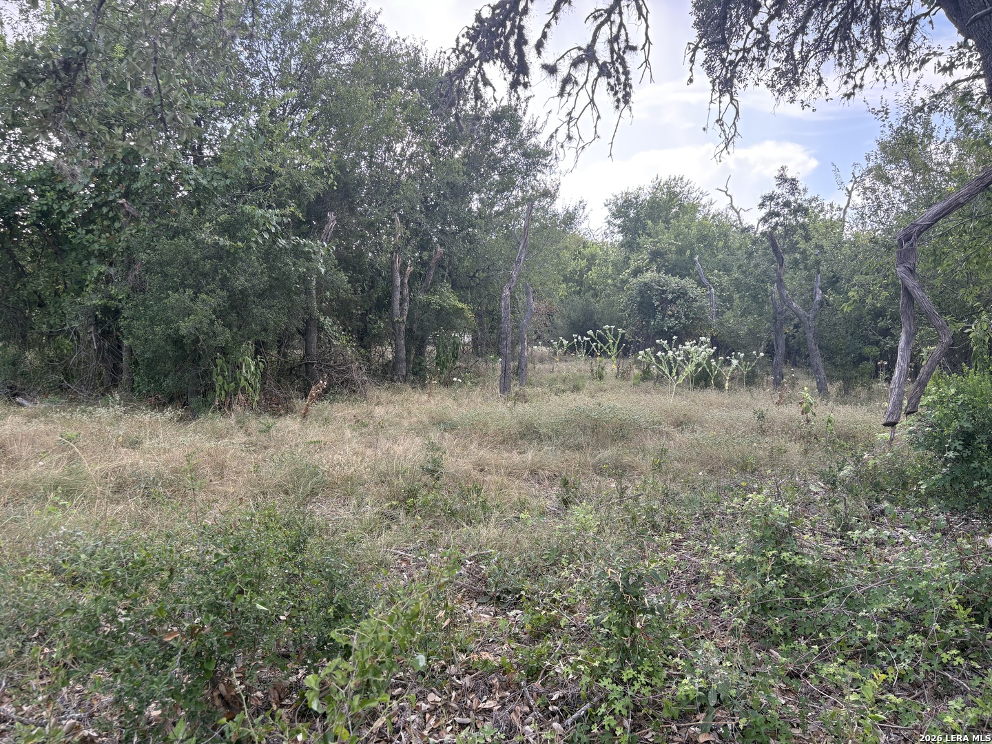 Lot 4 San Julian Estates-hwy 173 S Bandera TX 78003