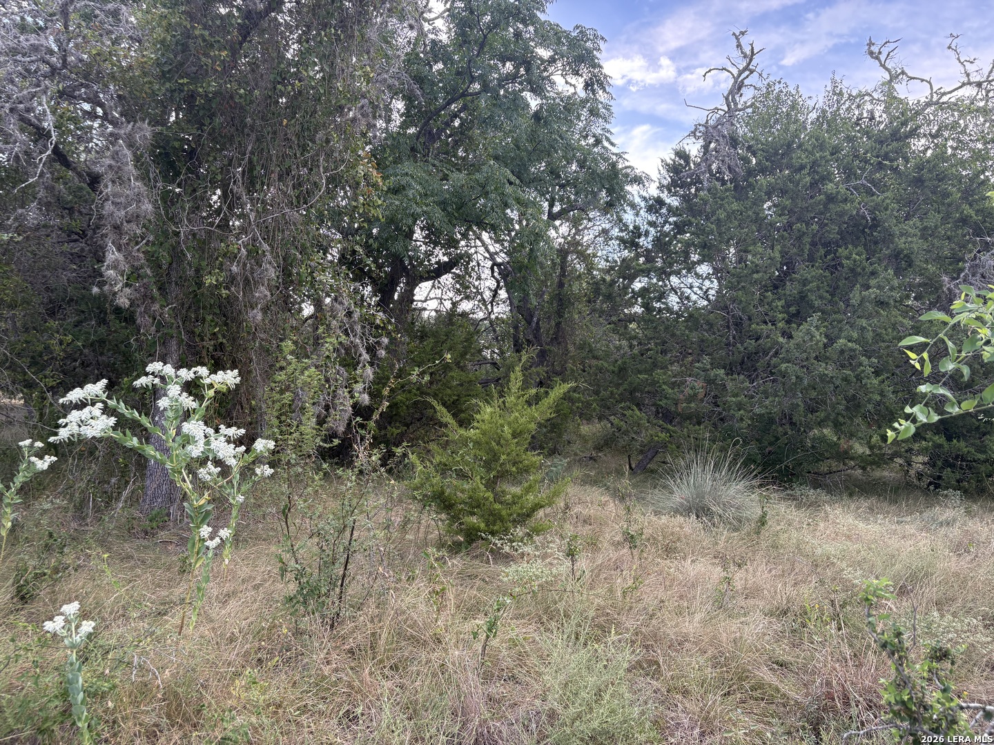 Lot 4 San Julian Estates-hwy 173 S Bandera TX 78003