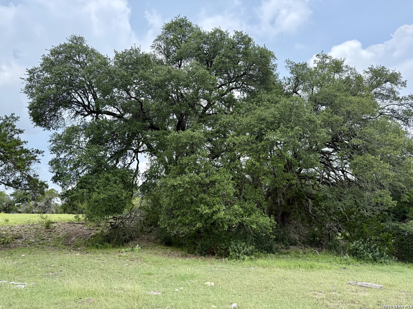 2371 #B Rr 165 Dripping Springs TX 78620